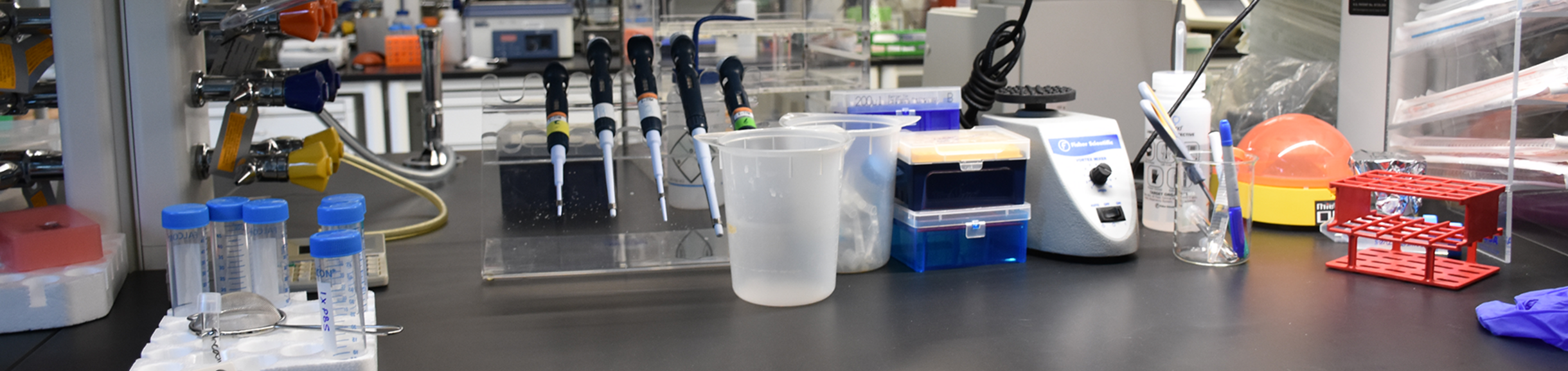 a lab bench at the School of Medicine