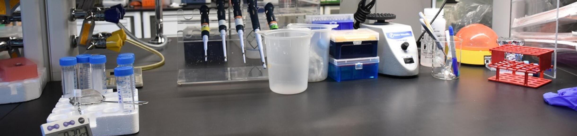lab bench