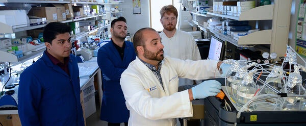 Professor DiPatrizio in lab working in front of three graduate students