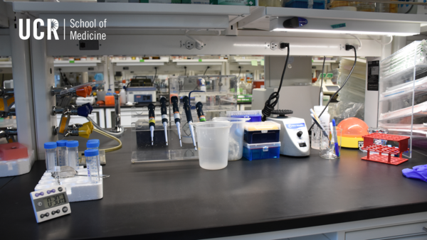 a lab bench at the School of Medicine
