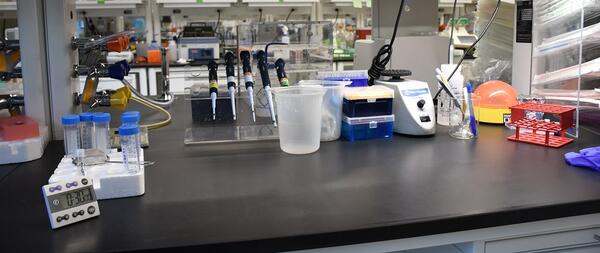 lab bench